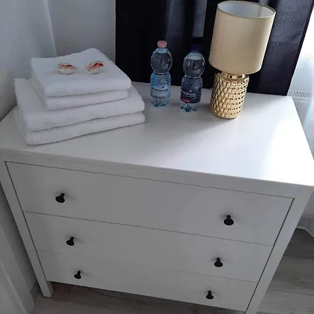 Apartament Zelazna *