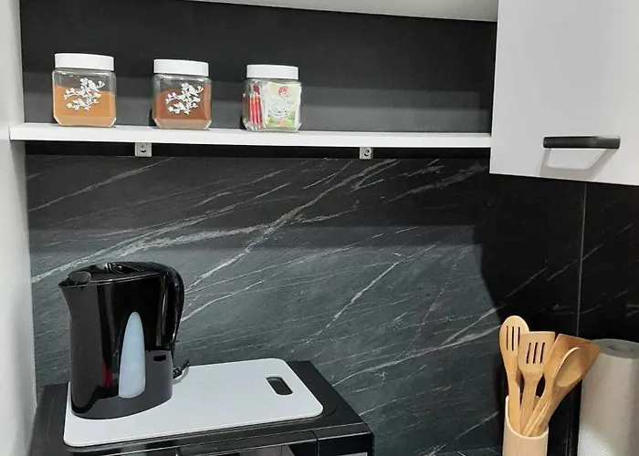 Apartament Zelazna *